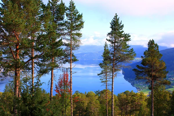 Skandinávský fjord v horách — Stock fotografie