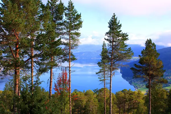 Amazing landscapes of Scandinavia - moun — Stock Photo, Image