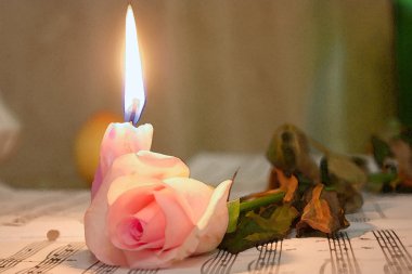 Candle and rose lieing on the music shee clipart