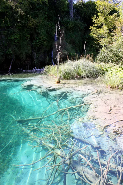 Bela natureza de Plitvice — Fotografia de Stock