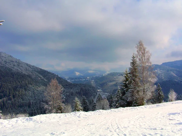The Carpathian mountains life — Stock Photo, Image