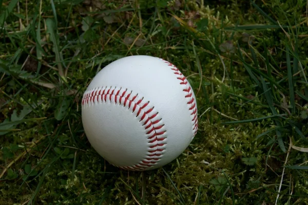 stock image Baseball