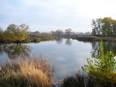 sonbahar Nehri