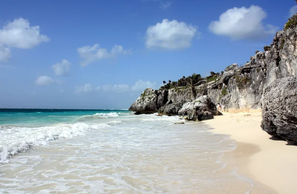 Prachtig caribisch strand Stockafbeelding