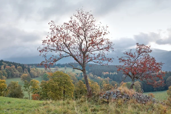 Hösten landskap — Stockfoto