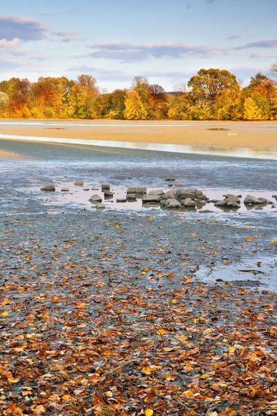 Autumn near drain the pond — Stock Photo, Image
