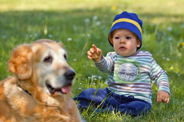 Küçük bir çocuk ve büyük köpek — Stok fotoğraf