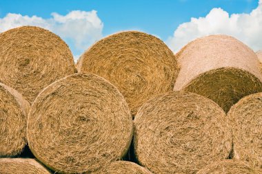 Straw stack for animal feed clipart