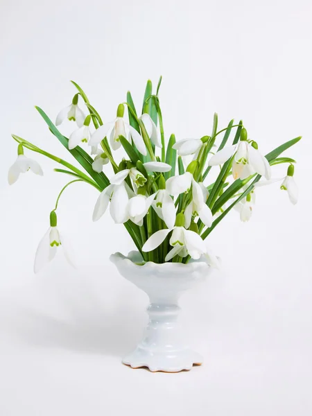 Snowdrops in a vase — Stock Photo, Image