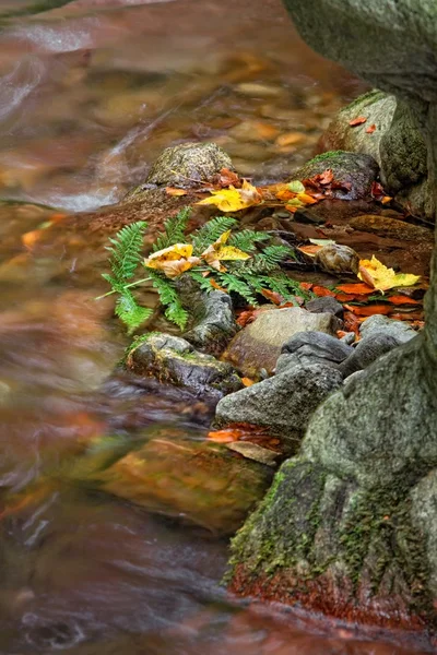 Färgen på ström på hösten — Stockfoto