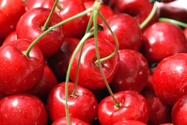 Closeup cherry Royalty Free Stock Images