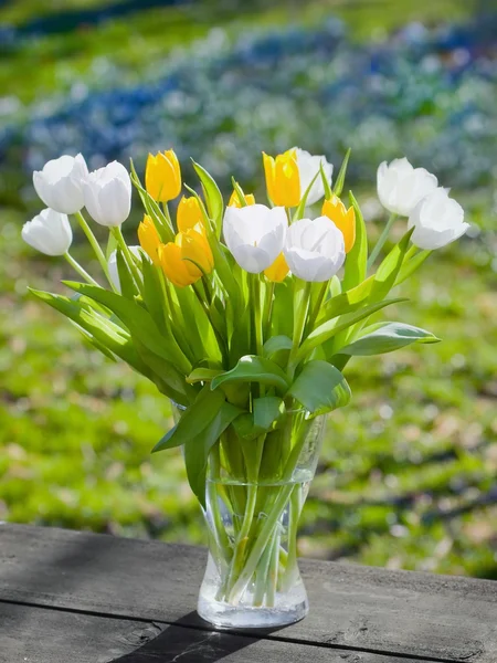 Spring Flowers — Stock Photo, Image