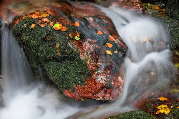 Dettaglio del torrente in autunno — Foto Stock