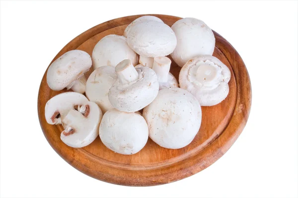 Gruppo di funghi bianchi — Foto Stock