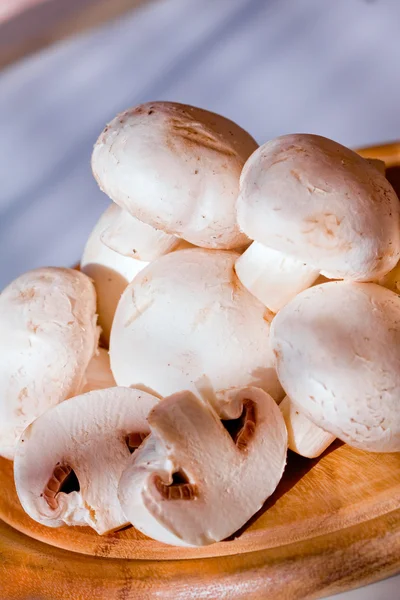 Gruppo di funghi bianchi — Foto Stock