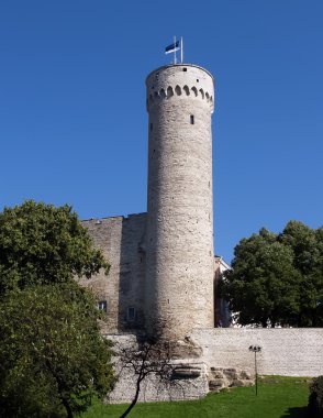 Tower long Herman of old Tallinn clipart