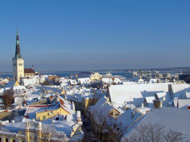 eski tallinn çatılar