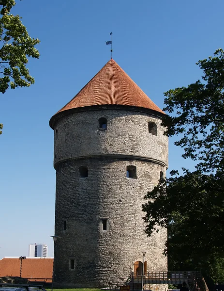 Kiek v de kok věži v Tallinnu — Stock fotografie