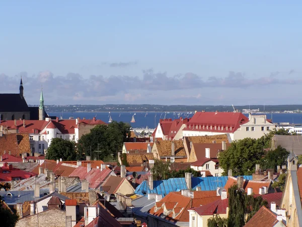 Telhados de Tallinn velho — Fotografia de Stock