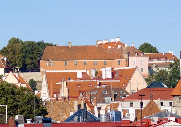 Dächer des alten Tallinn — Stockfoto