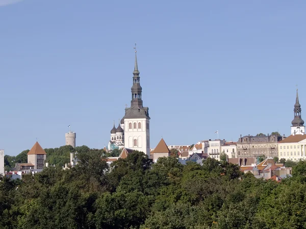 Kościół Świętego Mikołaja w Tallinnie — Zdjęcie stockowe