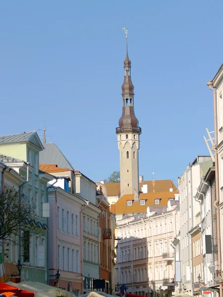 Stadhuis van Tallinn — Stockfoto