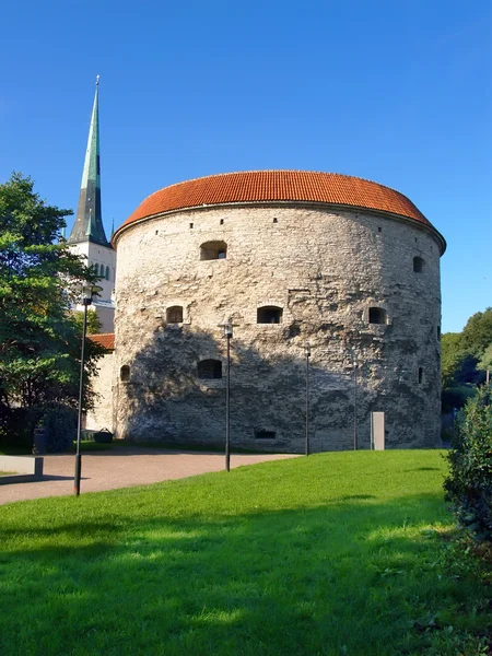 Товсті Маргарита Tower в Таллінні — стокове фото