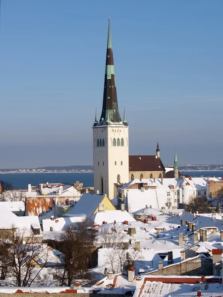 Roofs of old Tallinn — Stock Photo, Image