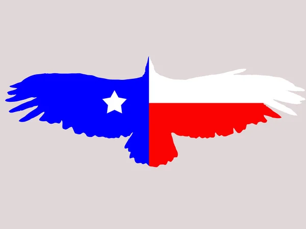 Texas Flagge — Stockvektor