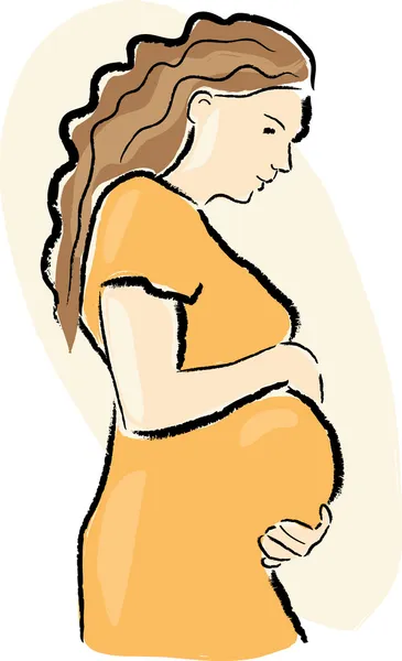 Mujer embarazada. Ilustraciones de stock libres de derechos