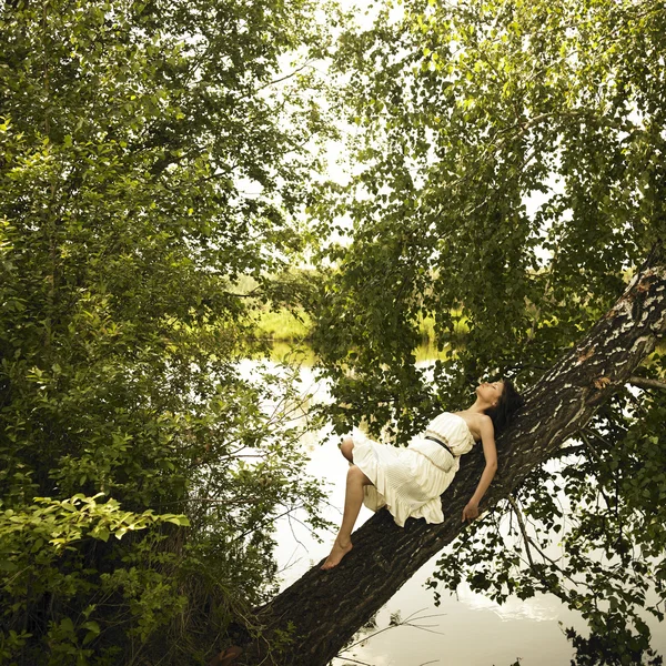 Junge feine Frau auf Baum — Stockfoto
