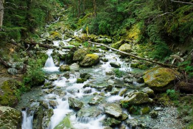 routeburn yolda küçük nehir