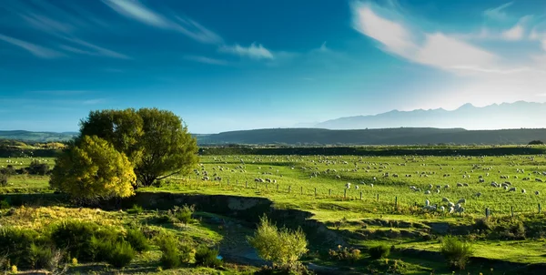 Панорамный вид на сельские пейзажи — стоковое фото