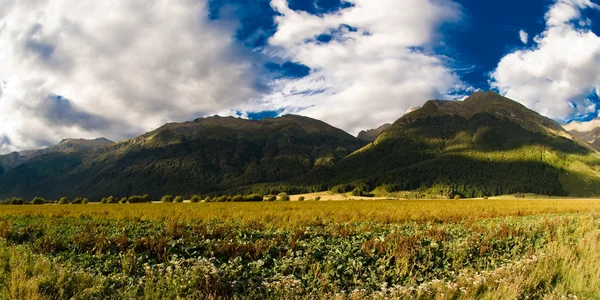 Сельские пейзажи Новой Зеландии — стоковое фото