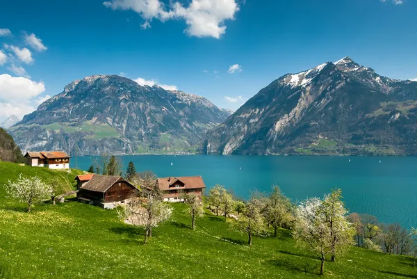 Våren landskap vid sjön lucern — Stockfoto