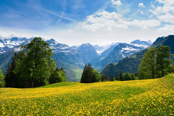 View from Braunwald — Stock Photo, Image