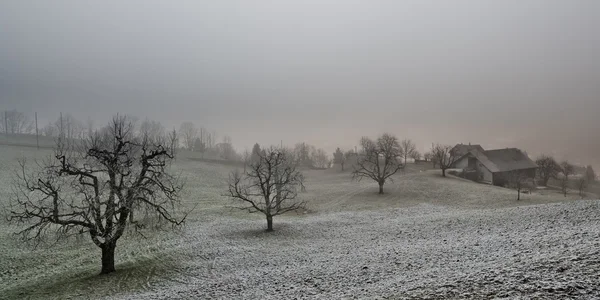 stock image Gray farmland