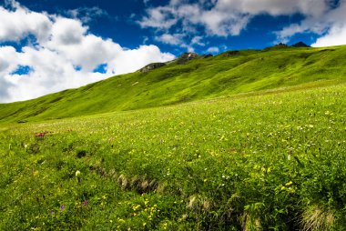 Green hills an meadow clipart