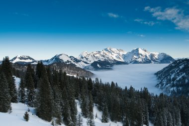 Saentis Dağı