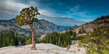 Olmsted point yosemite clipart