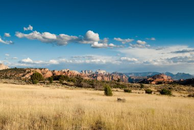 Kolob plateau in zion national park clipart