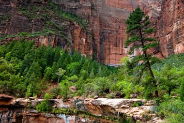 Zion national park