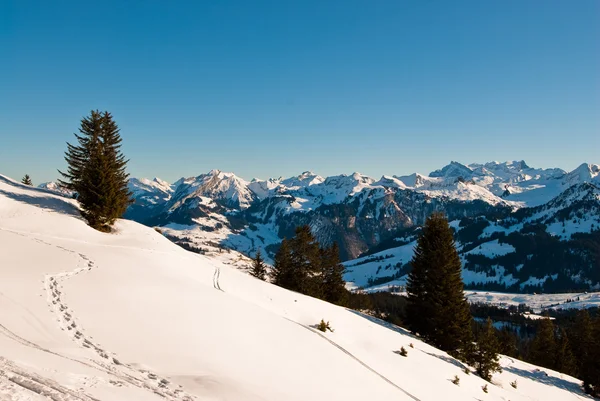 Winters tafereel in Zwitserse Alpen — Stockfoto