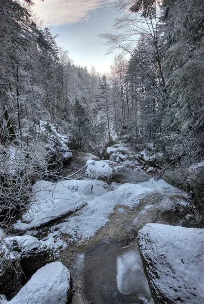 stock image Streambed in winter