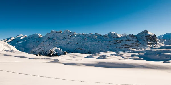 冬のパノラマ — ストック写真