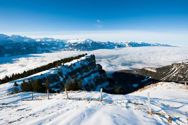 Panorama vom Niederhorn im Winter — Stockfoto