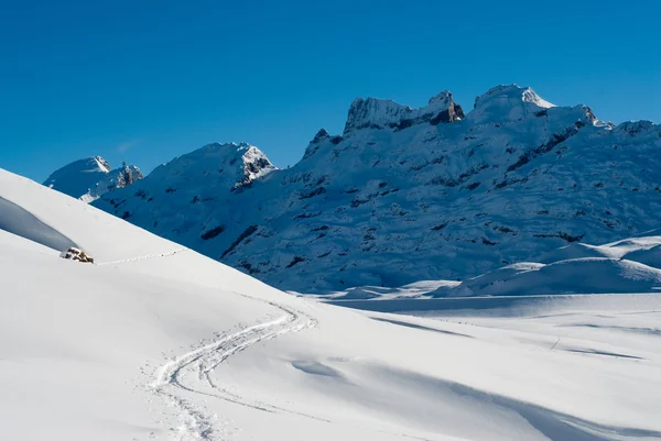 Снігова стежка на мельхейзефруті — стокове фото