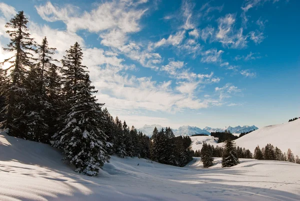Winter scene above Amden — Stock Photo, Image