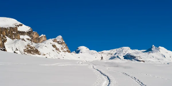 Winter panorama — Stockfoto