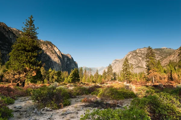 Kings canyon valley — Stock Photo, Image
